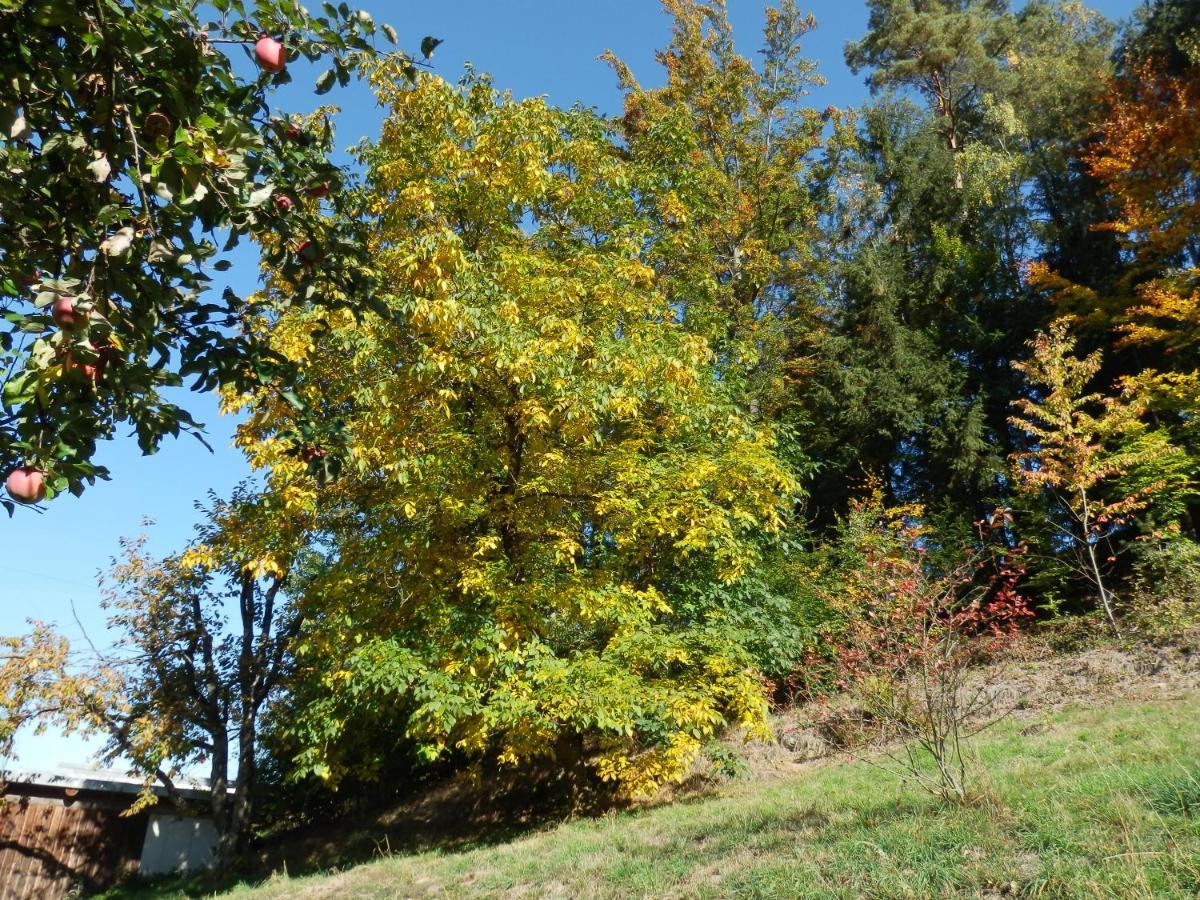 Naturoase Muehlviertel *