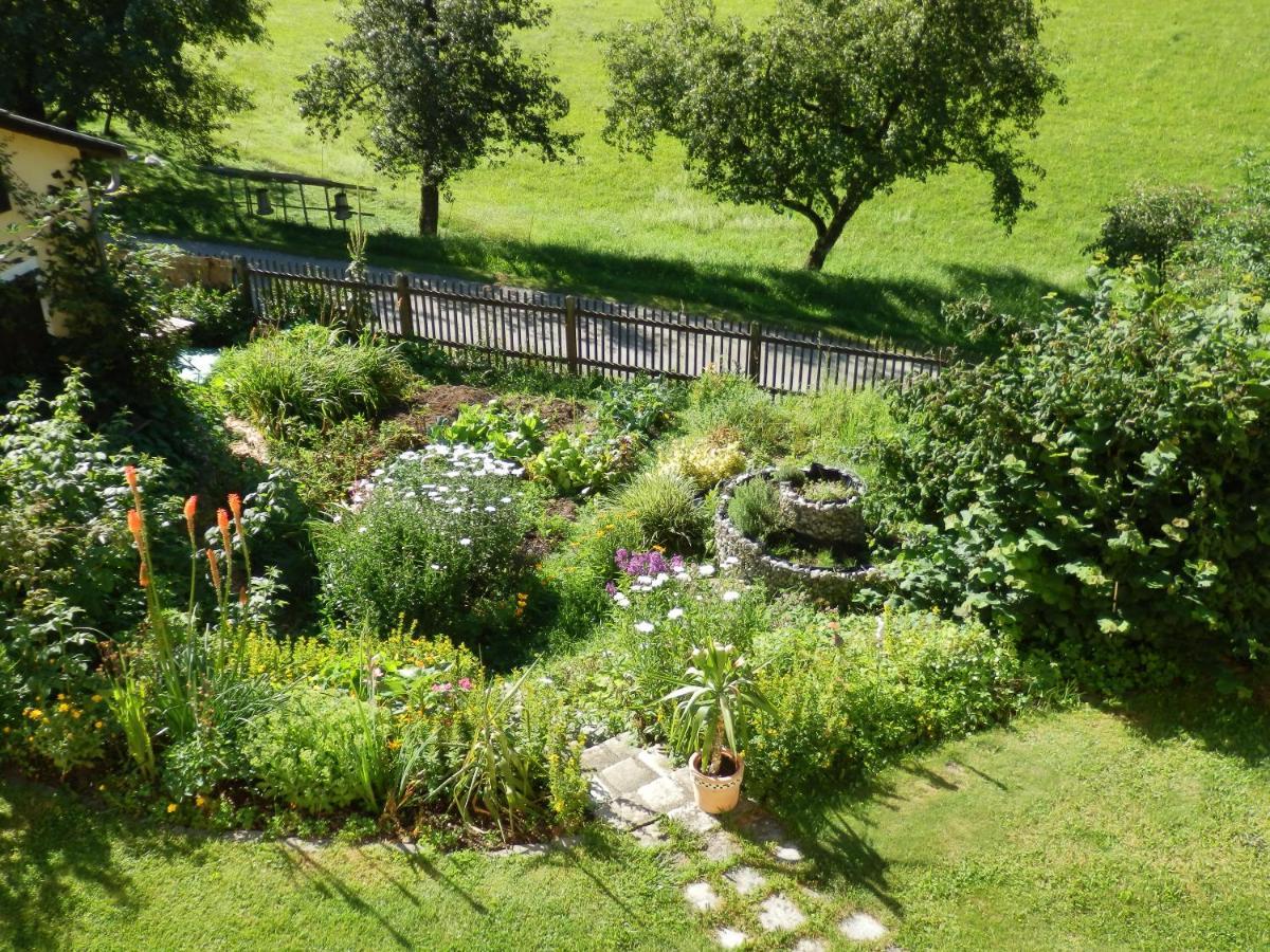 Apartment Naturoase Muehlviertel